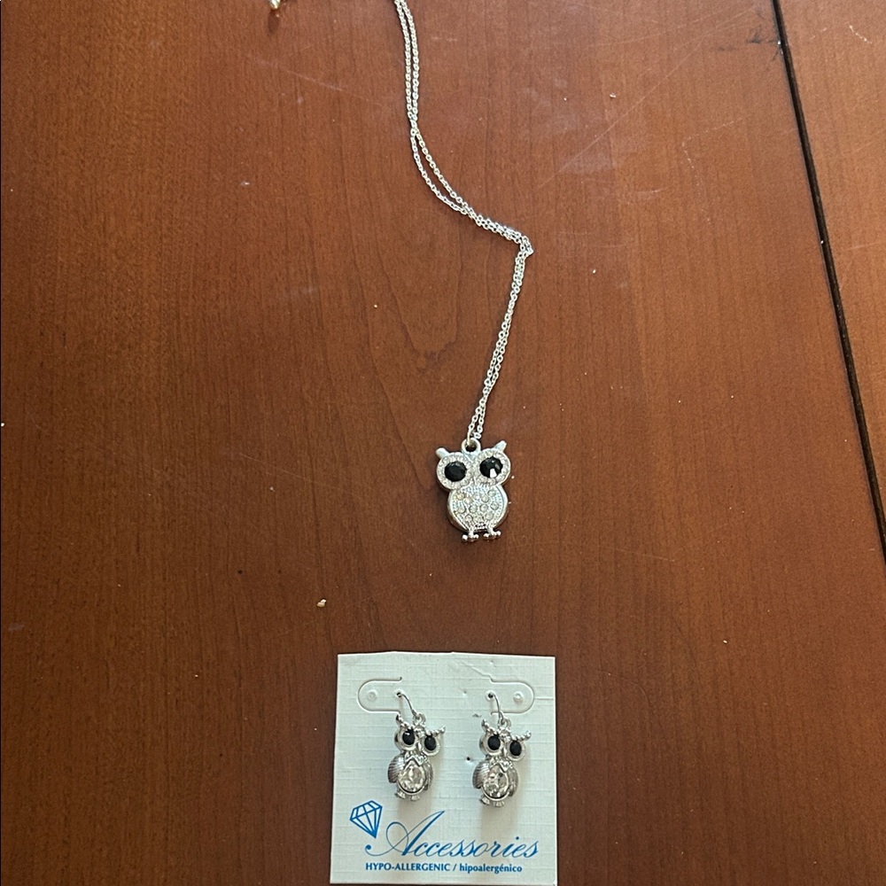 Silver Owl Necklace and Earring Set